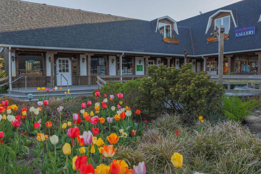 cannon beach art gallery