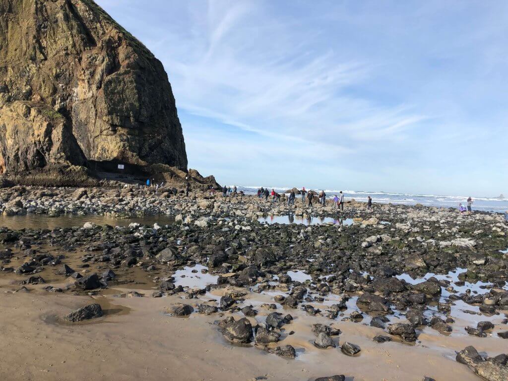 Ocean shore at low tide